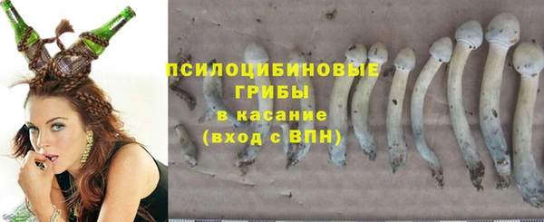 соль ск Костерёво