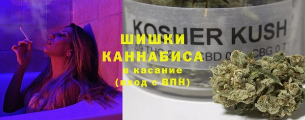 СК Коряжма