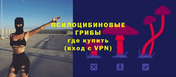 соль ск Костерёво
