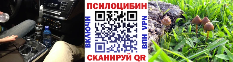 Купить  Егорьевск  Галлюциногенные грибы Psilocybe 